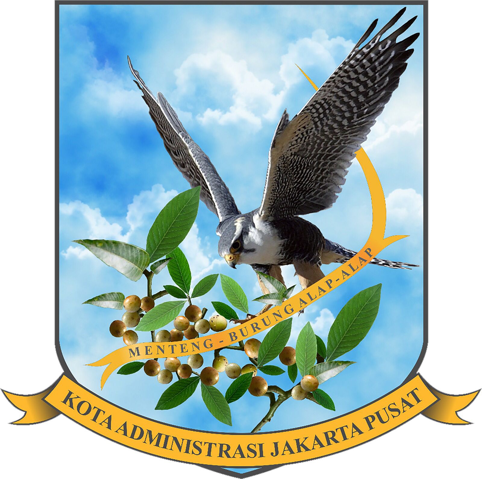 course image